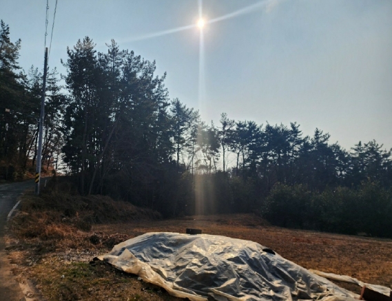 경상남도 남해군 창선면 부윤리 산47-4 임야 경매 사진 12