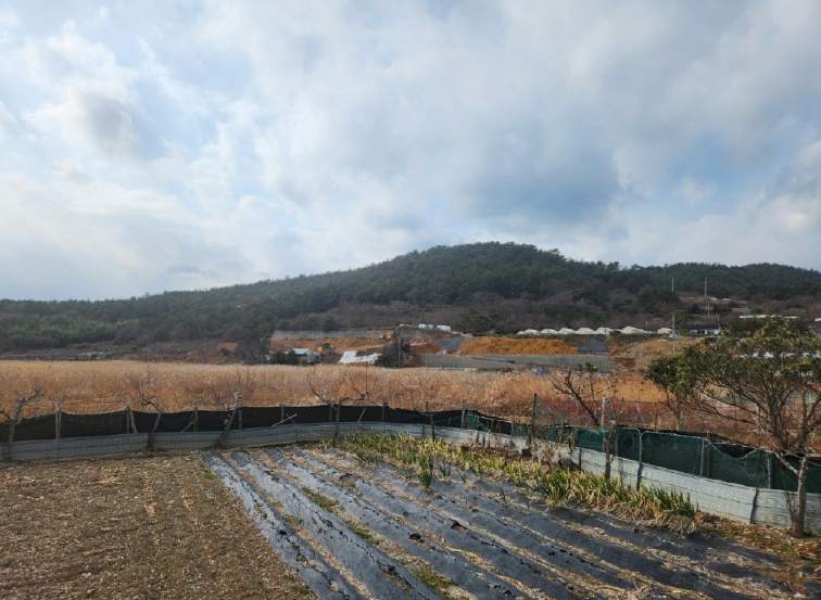 전라남도 여수시 돌산읍 평사리 산265-33 임야 경매 사진 7