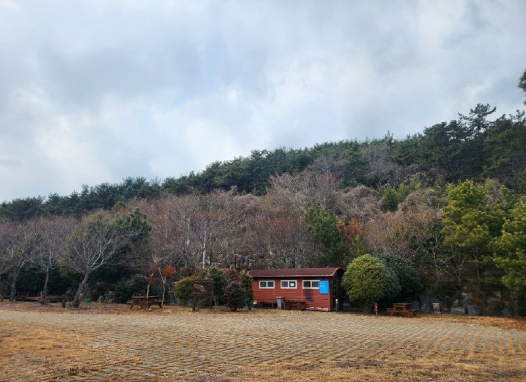 전라남도 여수시 돌산읍 평사리 산265-33 임야 경매 사진 8
