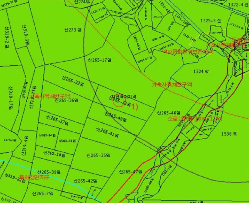 전라남도 여수시 돌산읍 평사리 산265-33 임야 경매 사진 10