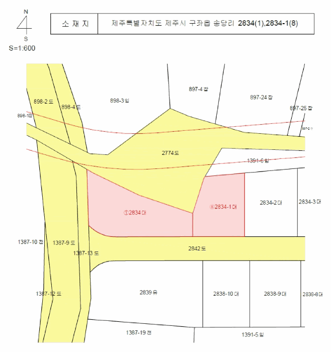 제주특별자치도 제주시 구좌읍 송당리 2834 대지 경매 사진 33