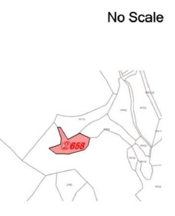 경기도 연천군 왕징면 동중리 658 잡종지 경매 사진 6