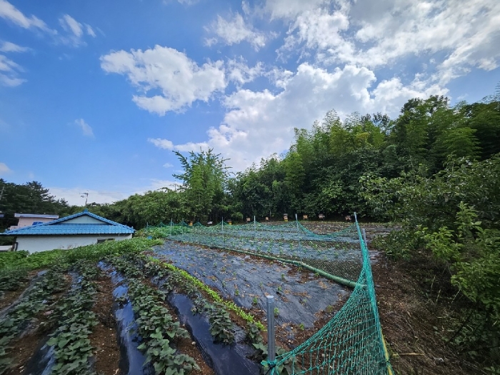 경상남도 거제시 연초면 천곡리 222-3 외 1필지 전 경매 사진 8