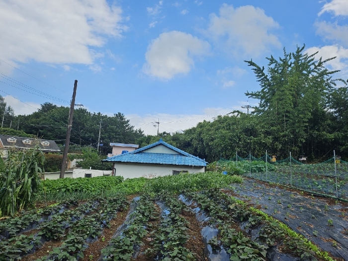경상남도 거제시 연초면 천곡리 222-3 외 1필지 전 경매 사진 9