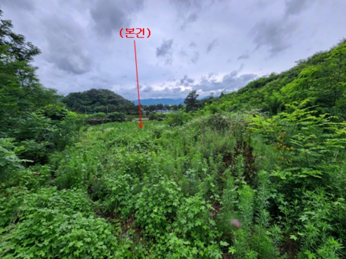 충청남도 공주시 유구읍 유구리 64 외 1필지 전 경매 사진 4