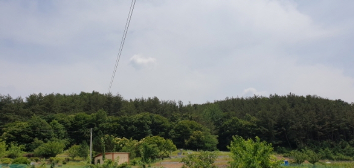 경상남도 합천군 삼가면 양전리 산38 외 1필지 임야 경매 사진 1