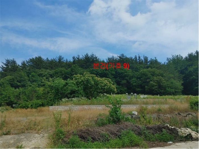 경상남도 합천군 삼가면 양전리 산38 외 1필지 임야 경매 사진 3
