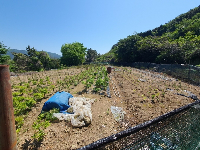 경상남도 거제시 남부면 다포리 66-2 외 1필지 전 경매 사진 6