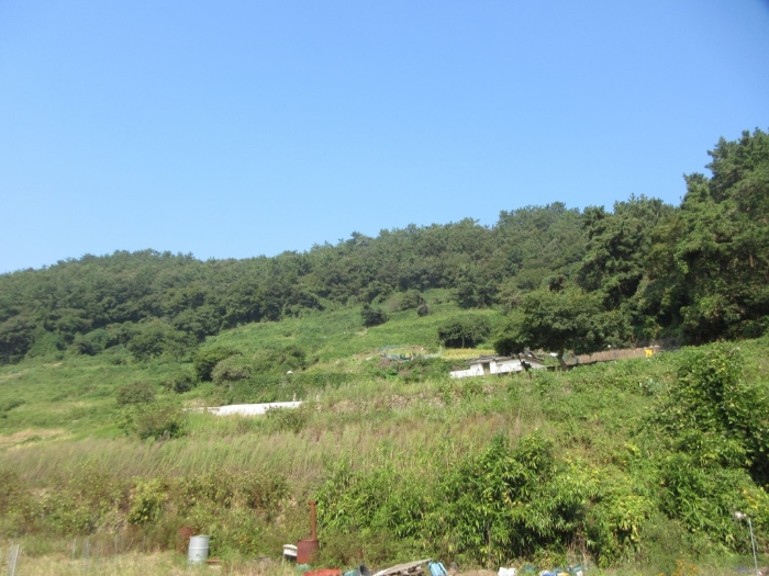 전라남도 여수시 화양면 이목리 1563 외 7필지 전 경매 사진 15