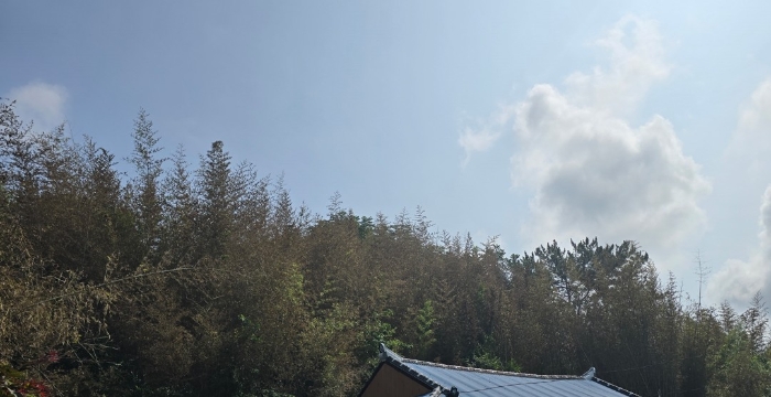 경상남도 진주시 집현면 대암리 484-2 대지 경매 사진 2