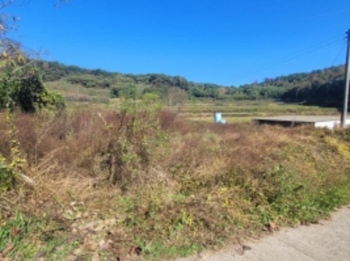 경상남도 하동군 고전면 고하리 945 외 1필지 답 경매 사진 1