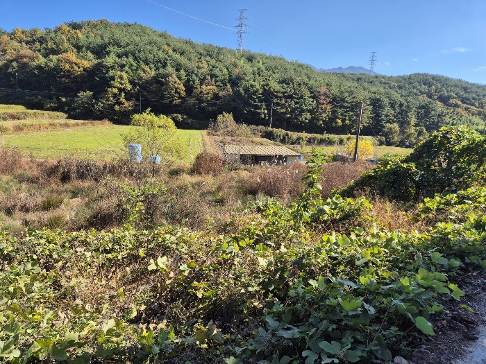 경상남도 하동군 고전면 고하리 945 외 1필지 답 경매 사진 7