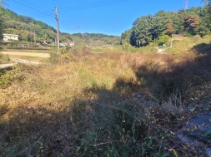 경상남도 하동군 고전면 고하리 956 외 1필지 답 경매 사진 2