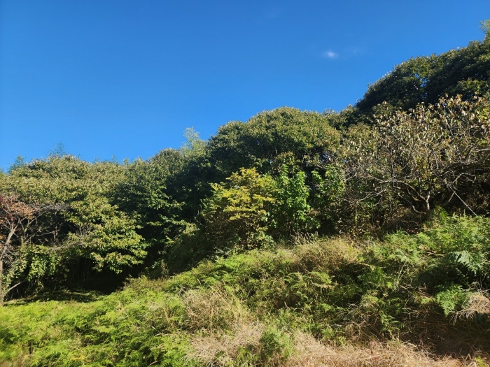 경상남도 하동군 금남면 계천리 326 전 경매 사진 4