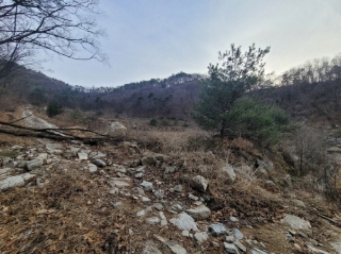 경상북도 영주시 봉현면 한천리 463-2 외 2필지 과수원 경매 사진 5