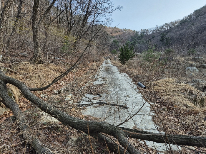 경상북도 영주시 봉현면 한천리 463-2 외 2필지 과수원 경매 사진 7