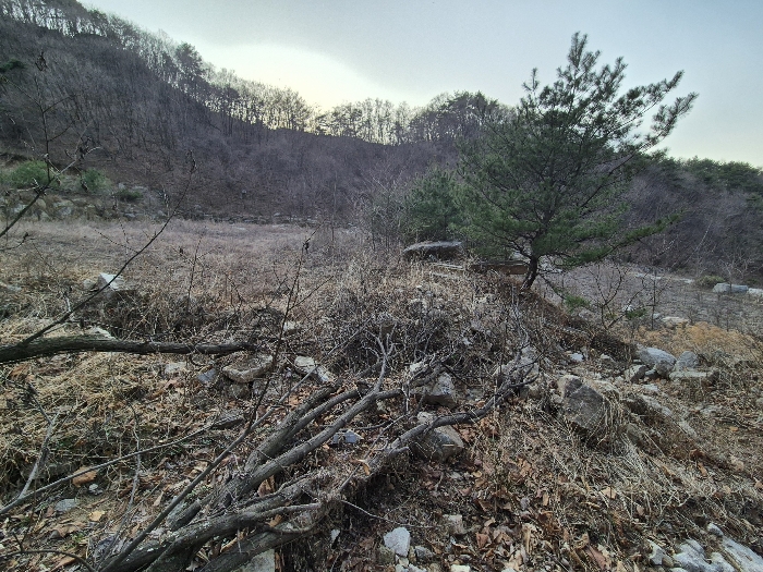 경상북도 영주시 봉현면 한천리 463-2 외 2필지 과수원 경매 사진 8