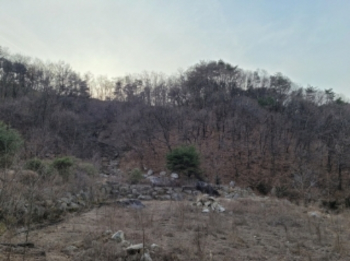 경상북도 영주시 봉현면 한천리 463-8 외 1필지 임야 경매 사진 2