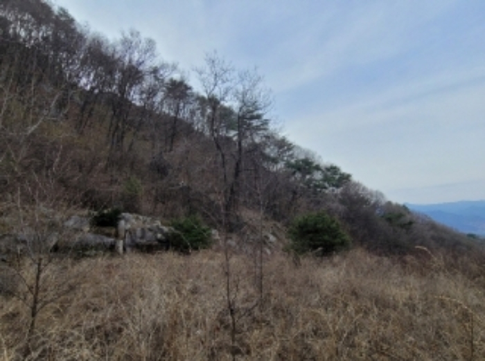 경상북도 영주시 봉현면 한천리 463-8 외 1필지 임야 경매 사진 5