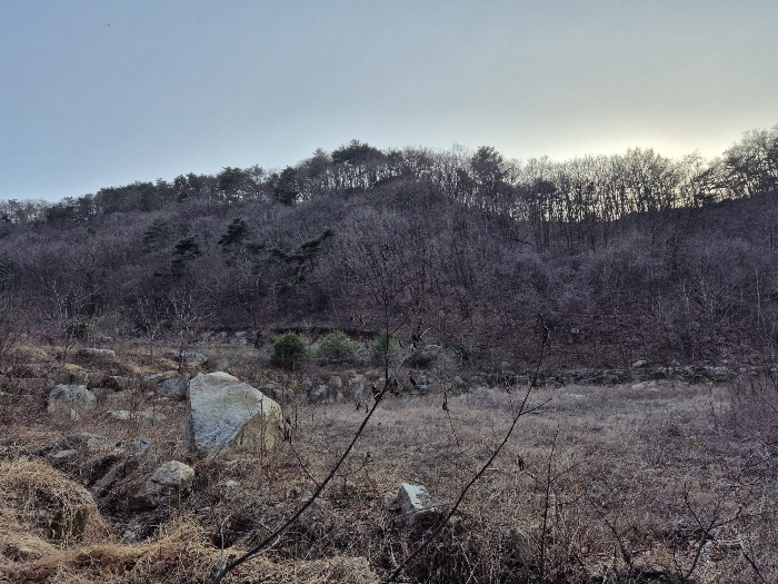 경상북도 영주시 봉현면 한천리 463-8 외 1필지 임야 경매 사진 7