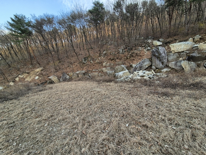 경상북도 영주시 봉현면 한천리 463-4 외 1필지 도로 경매 사진 11