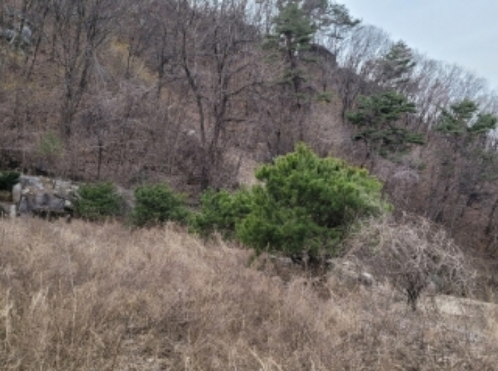 경상북도 영주시 봉현면 한천리 463-4 외 1필지 도로 경매 사진 3