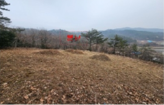 전라남도 신안군 지도읍 감정리 산50 임야 경매 사진 29