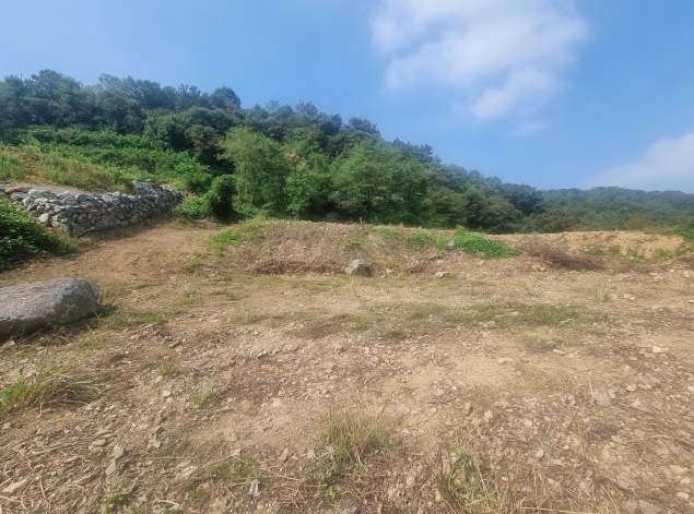 경기도 화성시 서신면 홍법리 17-7 외 4필지 임야 경매 사진 2