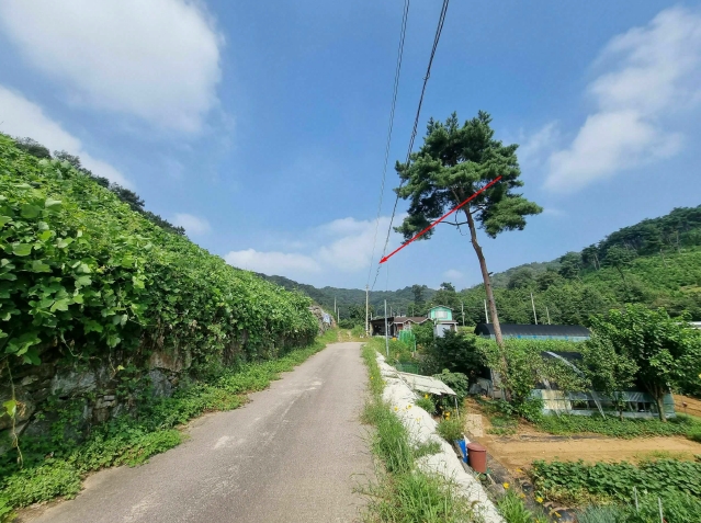 경기도 화성시 서신면 홍법리 17-7 외 4필지 임야 경매 사진 12