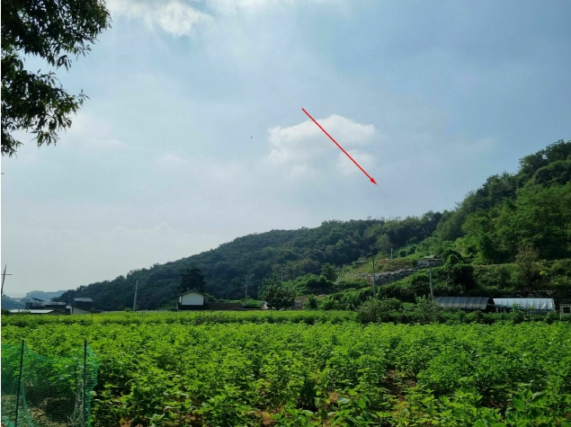 경기도 화성시 서신면 홍법리 17-7 외 4필지 임야 경매 사진 13