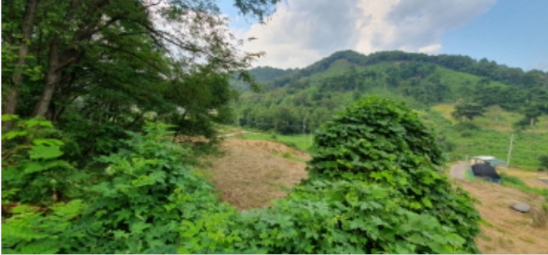 경기도 화성시 서신면 홍법리 17-7 외 4필지 임야 경매 사진 18
