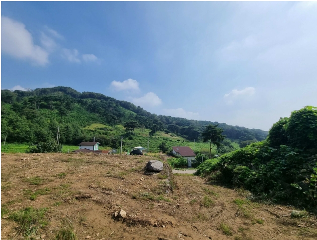 경기도 화성시 서신면 홍법리 17-7 외 4필지 임야 경매 사진 4