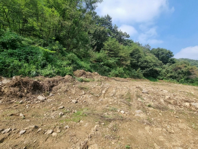 경기도 화성시 서신면 홍법리 17-7 외 4필지 임야 경매 사진 6