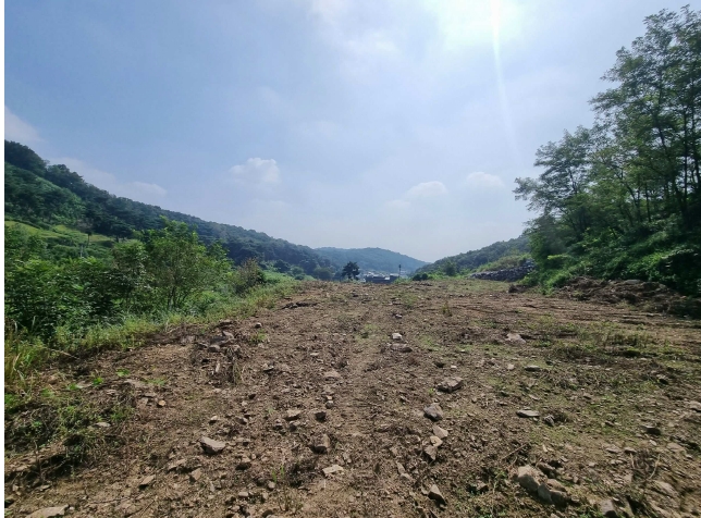 경기도 화성시 서신면 홍법리 17-7 외 4필지 임야 경매 사진 7