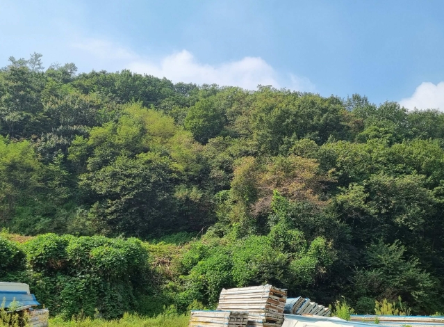 경기도 화성시 서신면 홍법리 17-7 외 4필지 임야 경매 사진 9