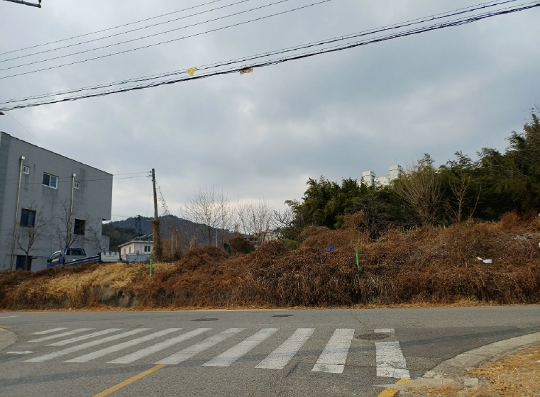 경상북도 구미시 고아읍 문성리 60 답 경매 사진 19