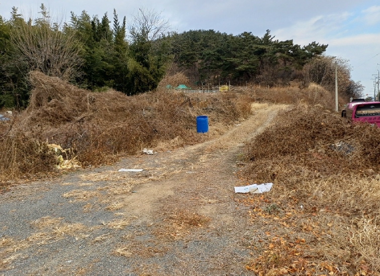 경상북도 구미시 고아읍 문성리 60 답 경매 사진 21