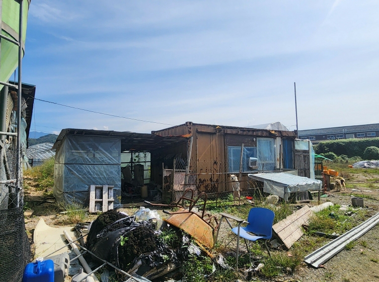 경기도 포천시 일동면 수입리 560-4 외 3필지 동물및식물관련시설 경매 사진 12