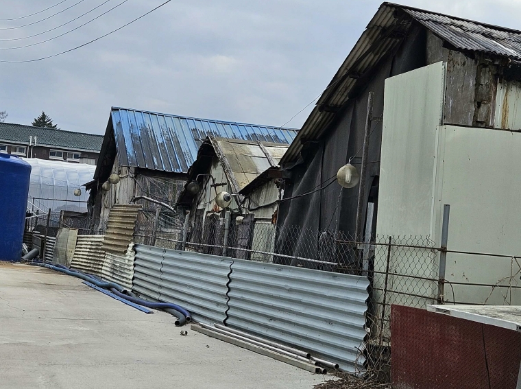 경기도 포천시 일동면 수입리 560-4 외 3필지 동물및식물관련시설 경매 사진 34