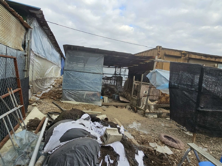 경기도 포천시 일동면 수입리 560-4 외 3필지 동물및식물관련시설 경매 사진 45