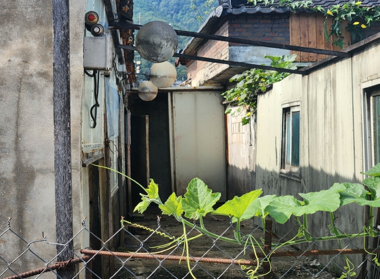 경기도 포천시 일동면 수입리 560-4 외 3필지 동물및식물관련시설 경매 사진 10