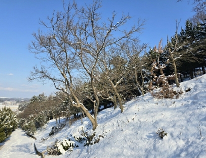 전북특별자치도 군산시 옥구읍 선제리 639-4 외 2필지 단독주택 경매 사진 2