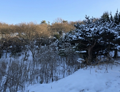 전북특별자치도 군산시 옥구읍 선제리 639-4 외 2필지 단독주택 경매 사진 38