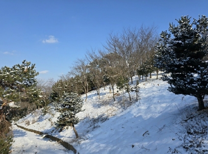 전북특별자치도 군산시 옥구읍 선제리 639-4 외 2필지 단독주택 경매 사진 5