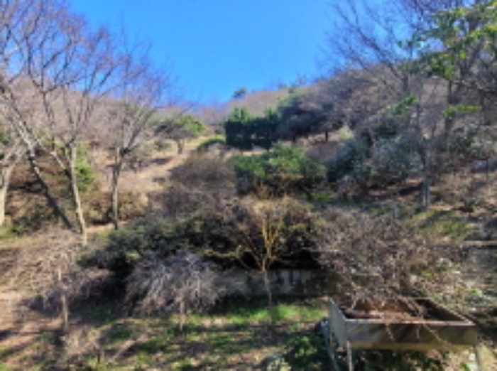 전북특별자치도 군산시 옥구읍 선제리 639-4 외 2필지 단독주택 경매 사진 49