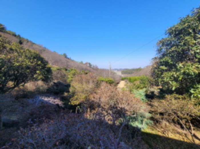 전북특별자치도 군산시 옥구읍 선제리 639-4 외 2필지 단독주택 경매 사진 50