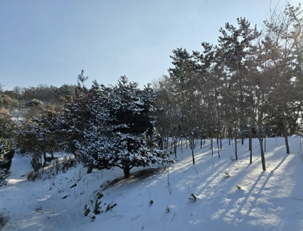 전북특별자치도 군산시 옥구읍 선제리 639-4 외 2필지 단독주택 경매 사진 6
