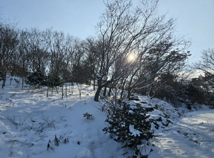 전북특별자치도 군산시 옥구읍 선제리 639-4 외 2필지 단독주택 경매 사진 7