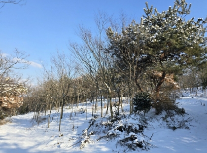 전북특별자치도 군산시 옥구읍 선제리 639-4 외 2필지 단독주택 경매 사진 8