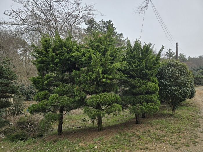 전북특별자치도 군산시 옥구읍 선제리 639-4 외 2필지 단독주택 경매 사진 73